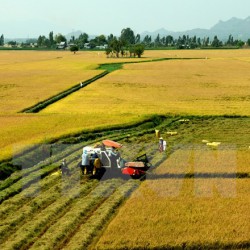 ĐẤT NÔNG NGHIỆP